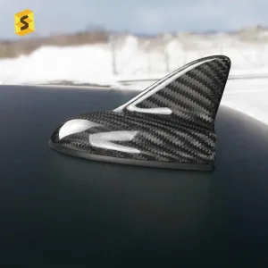 هوائي سيارة من ألياف الكربون . carbon fiber car antenna