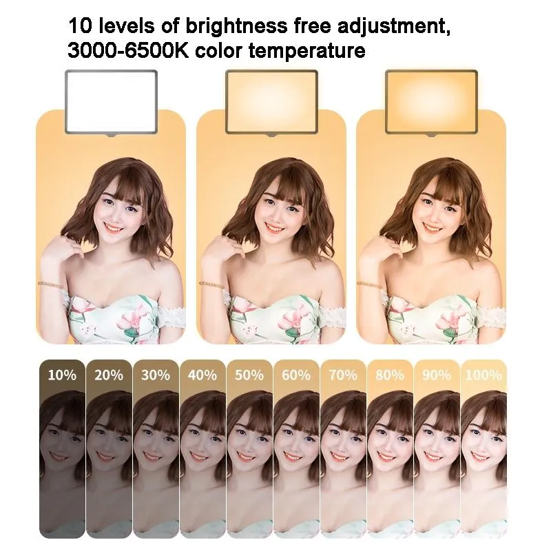 10 Flat-panel Live Fill Light - Adjustable 3000-6500k Temperature